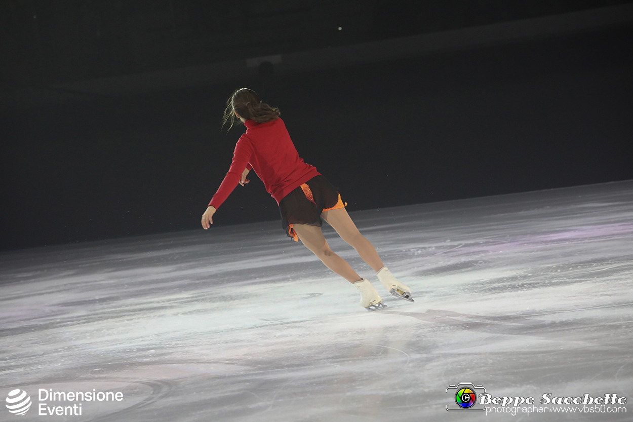 VBS_2164 - Monet on ice.jpg